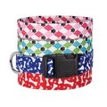 Casual Canine Casual Canine ZA1547 18 84 CC Pooch Patterns Collar 18-26 In Blue Argyle ZA1547 18 84